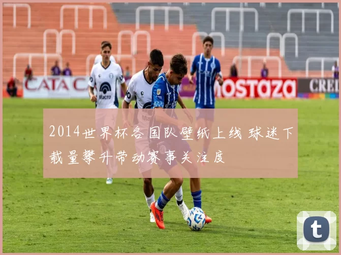 2014世界杯各国队壁纸上线 球迷下载量攀升带动赛事关注度
