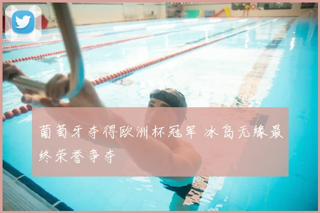 葡萄牙夺得欧洲杯冠军 冰岛无缘最终荣誉争夺