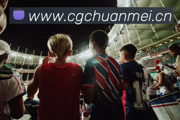 开云(中国)Kaiyun·官方网站 - 登录入口发展历程